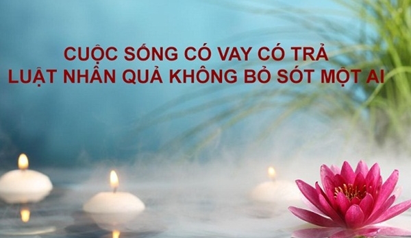 Những câu nói của Phật về luật nhân quả đáng suy ngẫm, ai hiểu thấu ắt phúc báo đời đời