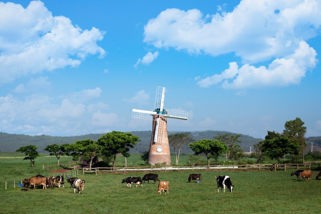 Cụm trang trại bò sữa Vinamilk Đà Lạt được vinh danh tại giải thường môi trường Việt Nam
