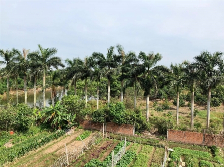 Thành phố Thái Bình: 45 hộ dân ròng rã hơn 10 năm đi đòi đất