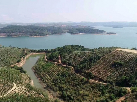 Dự án Nam sông Đa Nhim 12.000 tỷ ở Lâm Đồng đã có nhà đầu tư mới