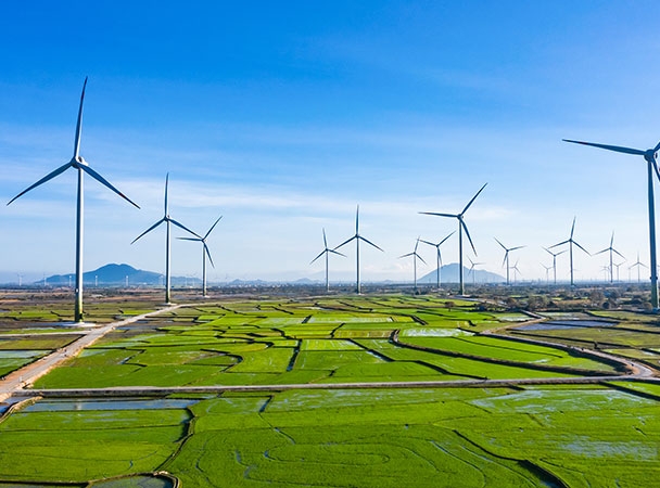 Bloomberg: Trung Nam Group được định giá 1 tỷ USD, tính bán bớt dự án điện gió