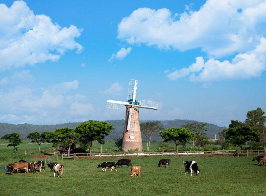 Cụm trang trại bò sữa Vinamilk Đà Lạt được vinh danh tại giải thường môi trường Việt Nam