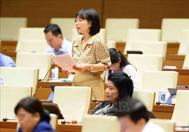 Đại biểu quốc hội tỉnh Hải Dương Nguyễn Thị Việt Nga phát biểu. Ảnh: Minh Đức/TTXVN bao-luc1-9822