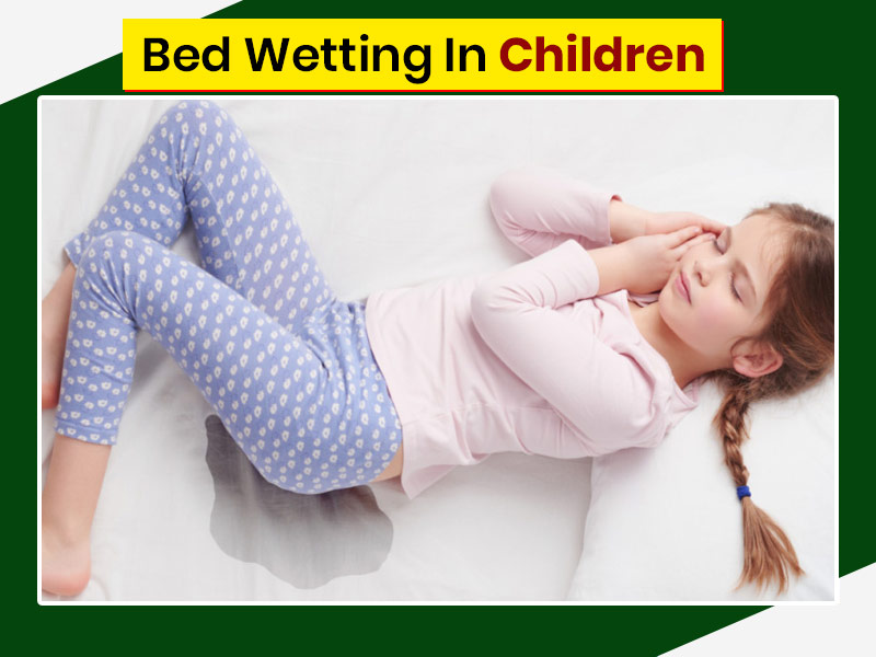 Ảnh: pixabay.com big_bed