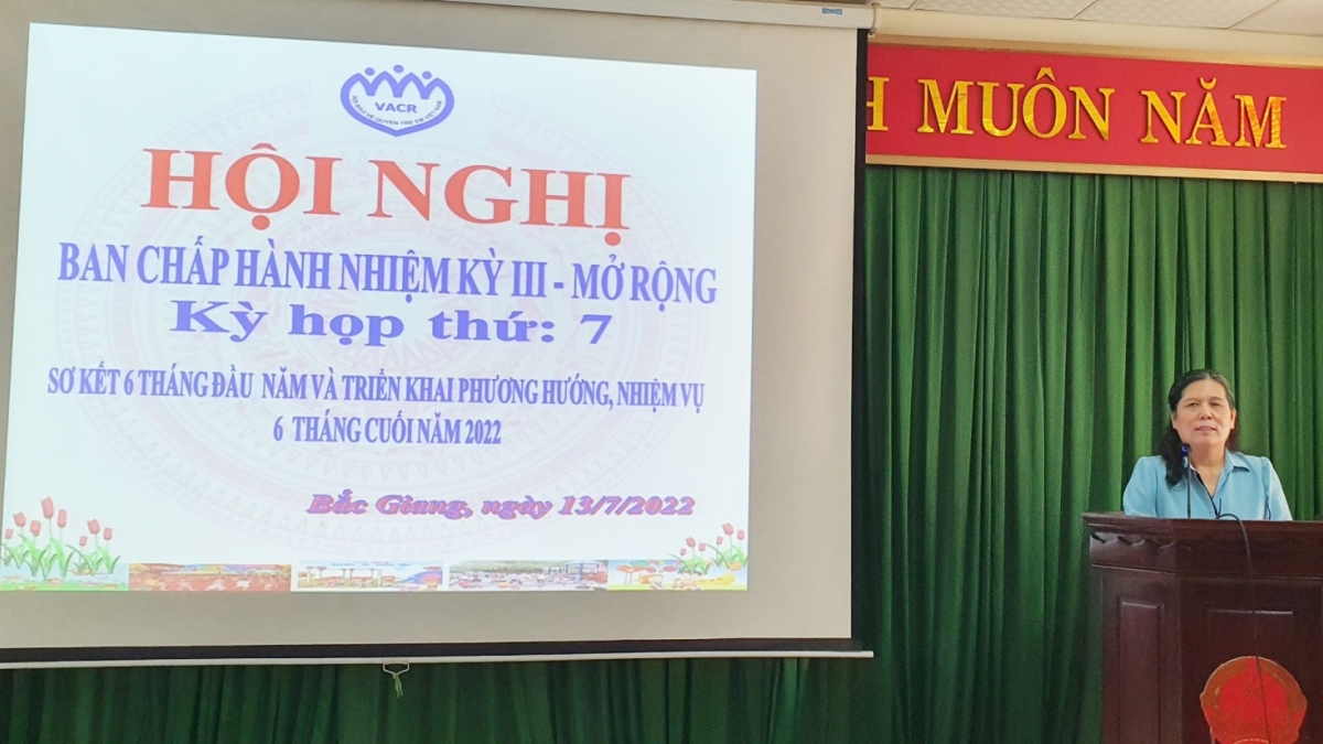 Bắc Giang: Kịp thời nắm bắt tình hình trẻ em bị bạo lực, tai nạn thương tích và tư vấn bảo vệ quyền trẻ em