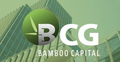 Bamboo Capital đạt lợi nhuận 546 tỷ trong năm 2022