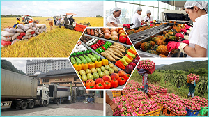 Xuất khẩu nông sản Việt 2023: Khơi thông mọi nguồn lực để tăng trưởng bền vững