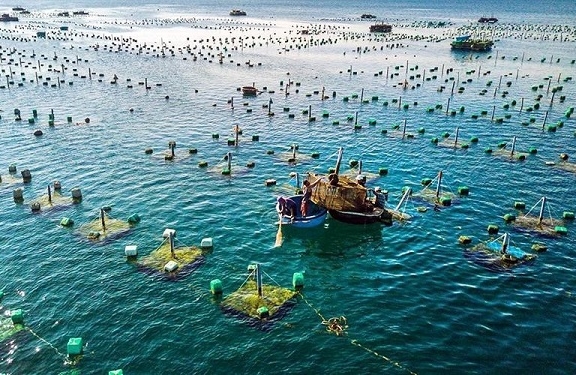 Sản lượng nuôi trồng thủy sản tăng cao tại nhiều địa phương