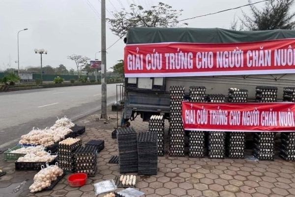 Nghịch lý: Mặt hàng chứng kiến khủng hoảng tại Mỹ, người dân không có để mua lại đang được bày bán giải cứu tràn lan...